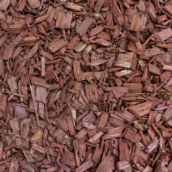 Relief texture of the brown bark of a tree close up